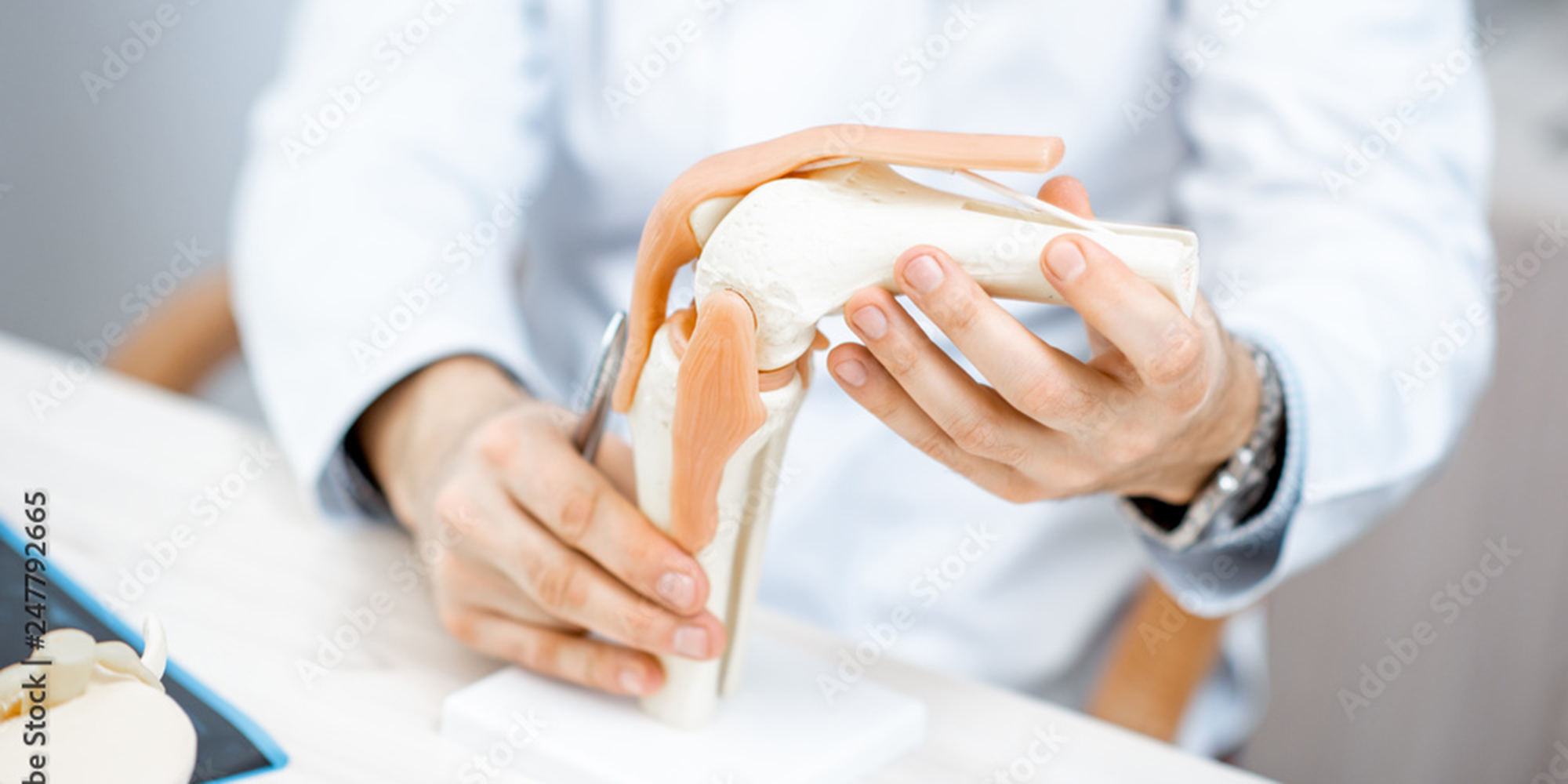 2000x1000AdobeStock_247792665_Preview