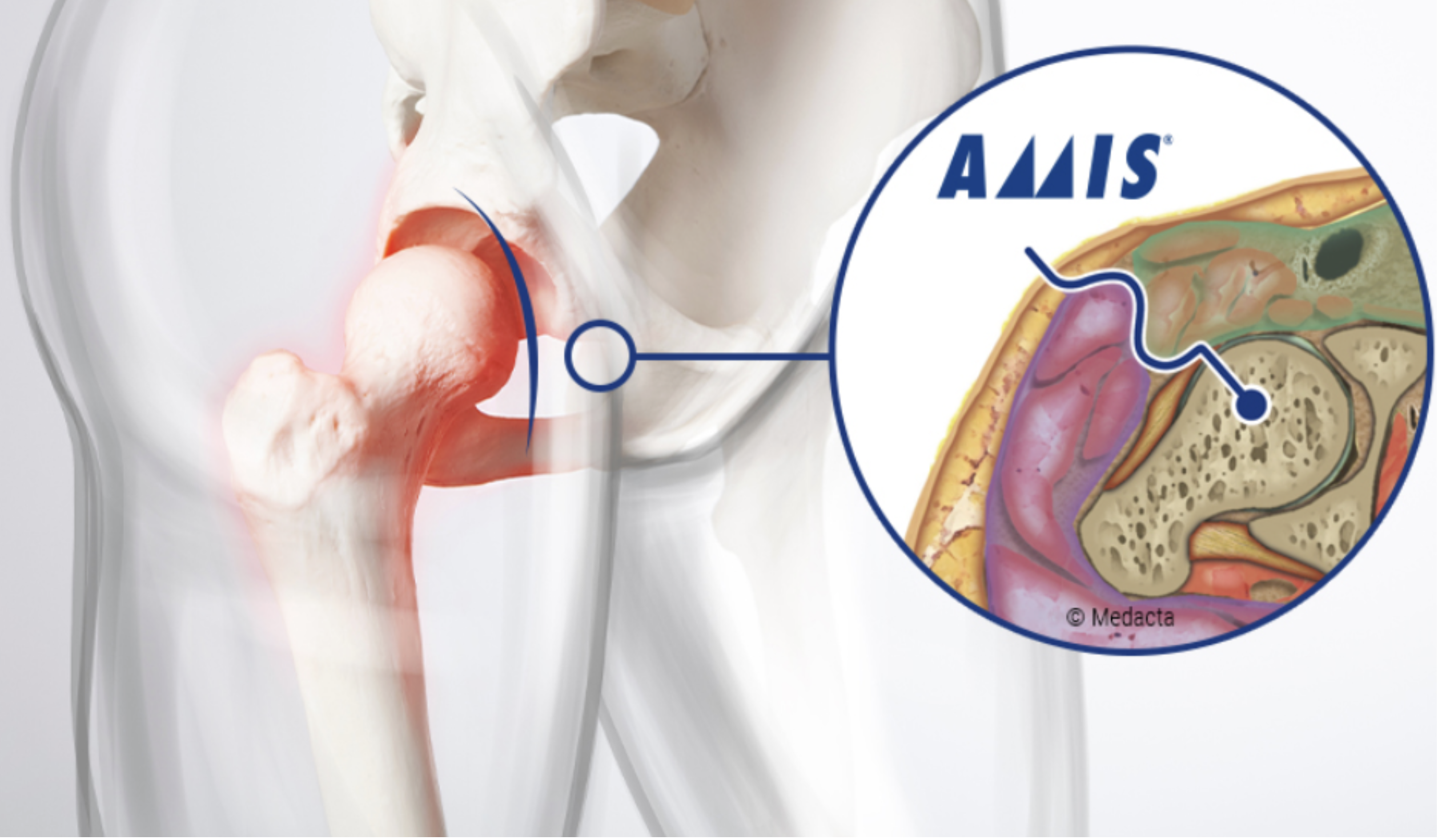 Bildschirmfoto 2025-04-01 um 12.13.16